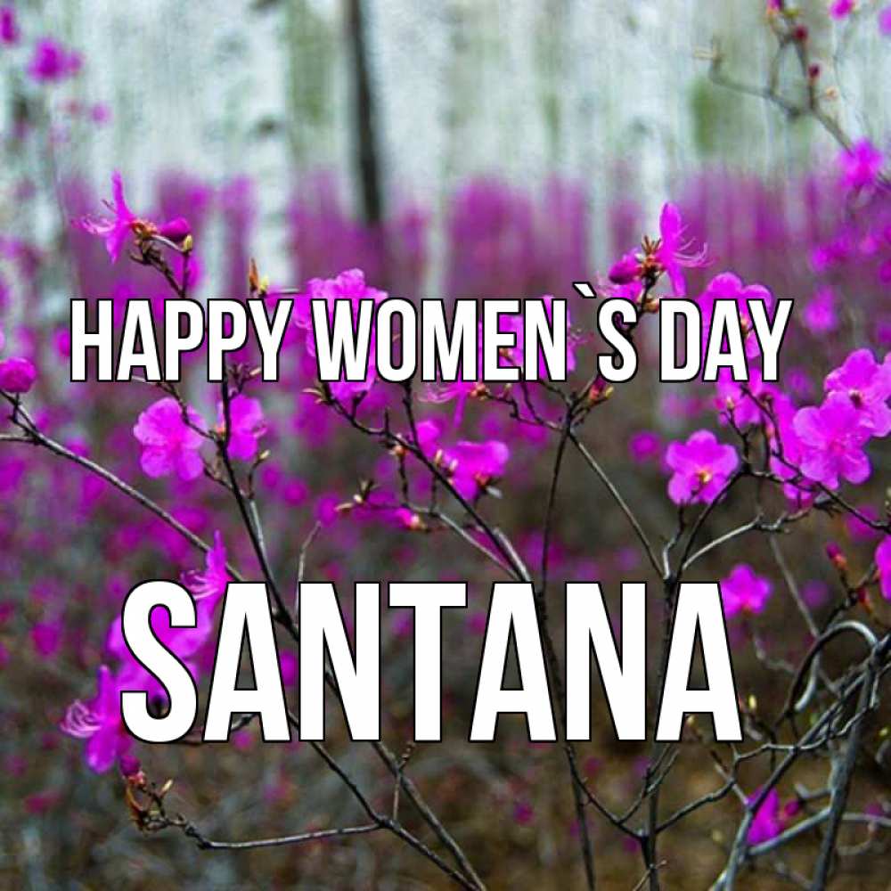 Greetings card с именем, Santana happy women`s day дикие цветы Greetings with text for free download 